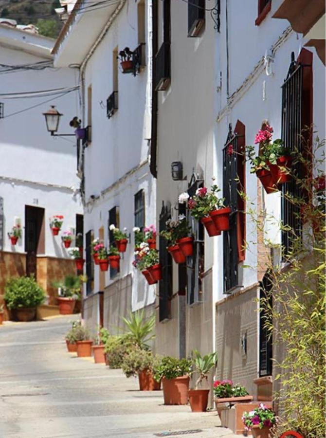 Mirasierrahome... Tu Hogar De Vacaciones! Alora Exterior photo